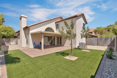 New Backyard Landscape