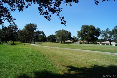 825 E Dakota Ct, Hernando, FL 34442 - photo 6