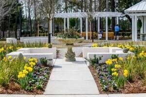 231 Tuscan Sun St, Ridgeville, SC 29472 - photo 6