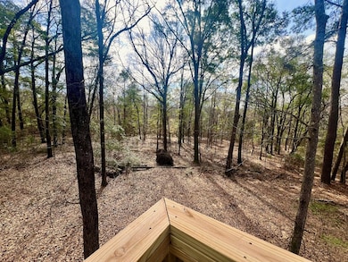 402 Vine St, Troy, AL 36081 - photo 5