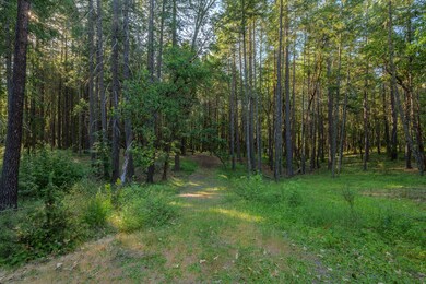 355FirviewLn-001