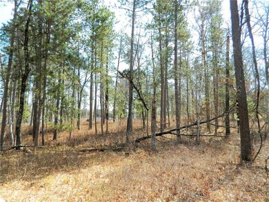 Lot 6 Rainbow Ct, Jackson, WI 54830 - photo 2