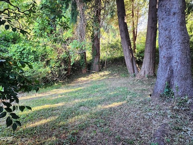 Resized_20250729_082951