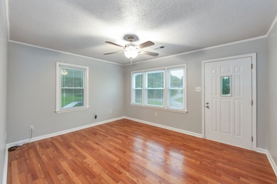 274 Spring Hill Rd, Stanton, TN 38069 - photo 3