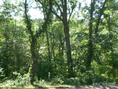 22 Goughes Branch Rd, Leicester, NC 28748 - photo 6