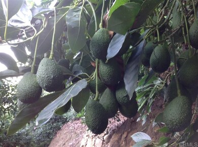 32733 Mesa Lilac Rd, Escondido, CA 92026 - photo 2