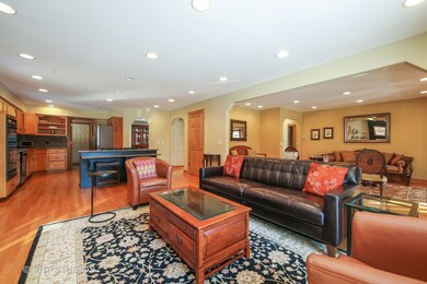 440 Flock Ave, Naperville, IL 60565 - photo 6