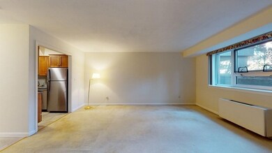 Hammond Park Condominiums unit 16, Chestnut Hill, MA 02467 - photo 3