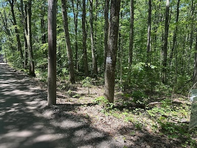 39 Irish Ln, Rutland, MA 01543 - photo 5