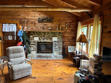 424 Crane Mountain Rd, Townshend, VT 05353 - photo 6