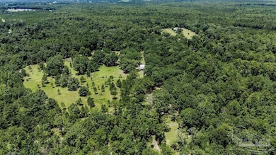 4156 James Jernigan Rd, Jay, FL 32565 - photo 6