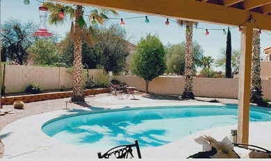 Beautiful Backyard