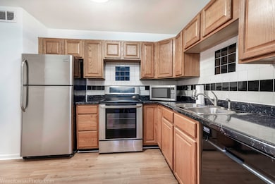 Shoreline Towers Condominiums unit 6C, Chicago, IL 60660 - photo 3