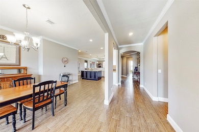 3507 Sapelo Way, Richmond, TX 77469 - photo 5