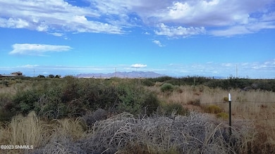 TBD Us 54, Chaparral, NM 88081 - photo 3