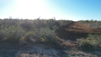 0 Fm 716 unit 20255318, Realtitos, TX 78376 - photo 4