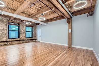 368 W Huron St unit 2N, Chicago, IL 60654 - photo 5