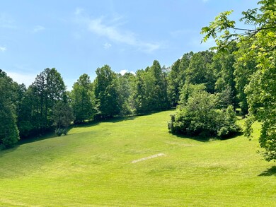 767 Sulphur Springs Hollow Rd, Somerset, KY 42501 - photo 4