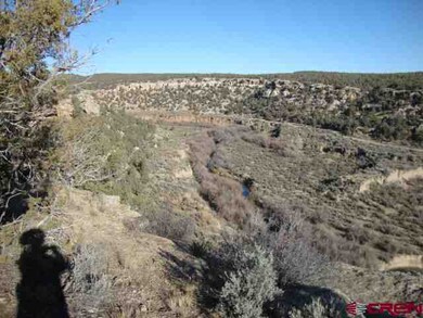 0 Road 23 unit 663918, Cortez, CO 81321 - photo 6