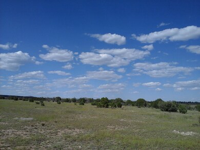 Lot 47 Juniperwood Ranch Unit 11, Ash Fork, AZ 86320 - photo 2