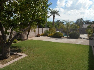 Rear Yard