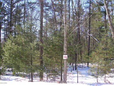 11 Milky Way, Hawley, PA 18428 - photo 3