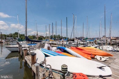 316 Burnside St unit 405, Annapolis, MD 21403 - photo 6