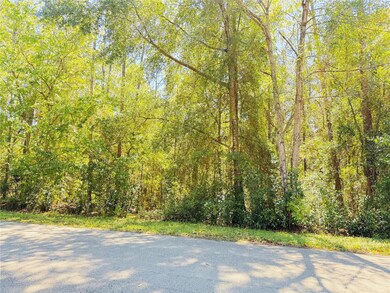 1188 W Pearson St, Hernando, FL 34442 - photo 4