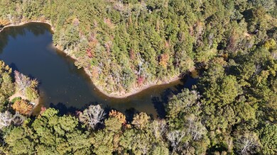 DJI_20241028120632_0141_D