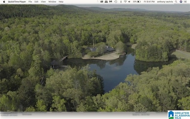 268 S Oak Dr, Birmingham, AL 35242 - photo 4