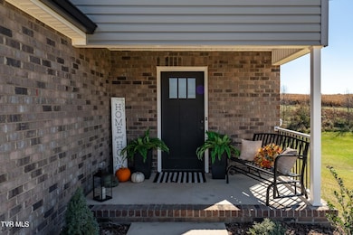 1325 Bowmantown Rd, Limestone, TN 37681 - photo 5