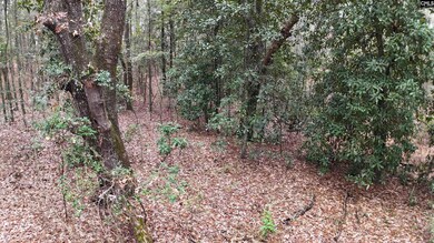 1319 Lake Shore Dr, Camden, SC 29020 - photo 2