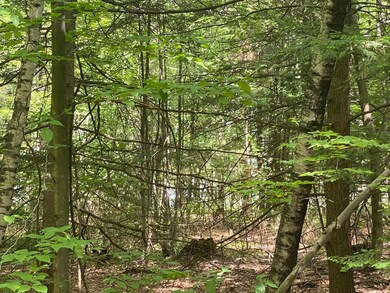 18 Split Oak Cir unit 4A/A001/01, Chesterfield, NH 03443 - photo 4