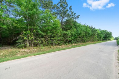 00 Rebel Rd, Cleveland, TX 77327 - photo 2