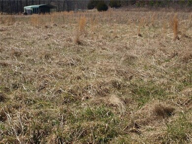 0 S 295 Hwy unit 1138449, Crosses, AR 72727 - photo 6