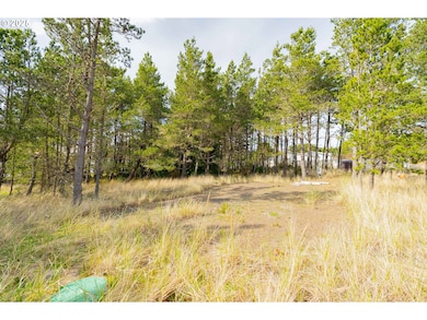 29507 I St, Ocean Park, WA 98640 - photo 6