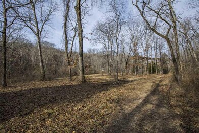 0000 Bunyard Rd, Winslow, AR 72959 - photo 7