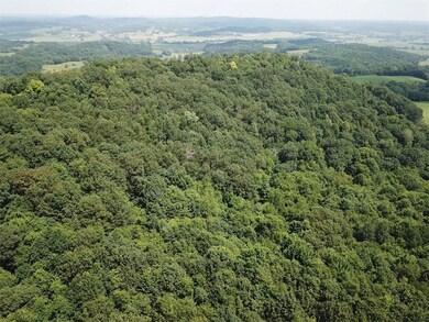 0 Sather Ln unit 1533393, Ettrick, WI 54627 - photo 6