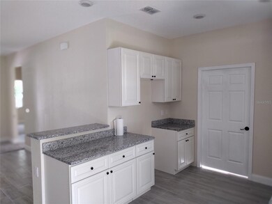 unlisted-address, Fort Meade, FL 33841 - photo 3