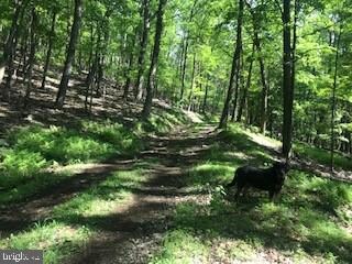 0 O Short Rd unit WVHD105066, Baker, WV 26801 - photo 7