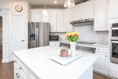 11 Peters Farm Way unit 113, Westborough, MA 01581 - photo 5