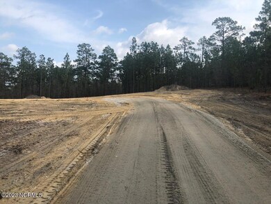 Ledbetter Land Pic- Driveway pt 2