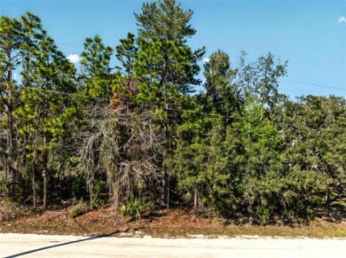 9003 Glenarm Way, Weeki Wachee, FL 34613 - photo 4