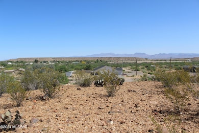 Lot484 - 1
