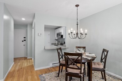 29 Custer St unit 201, Jamaica Plain, MA 02130 - photo 5