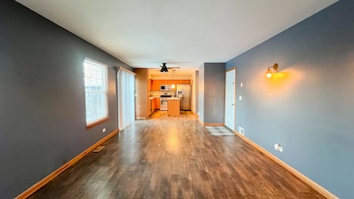 2809 Forestview Dr, Carpentersville, IL 60110 - photo 6