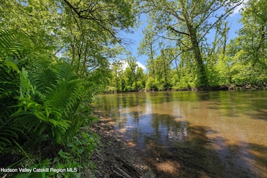 Roeliff Jansenkill trout stream