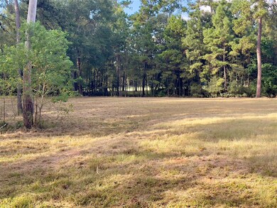 28103 Meadow Forest, Magnolia, TX 77355 - photo 7