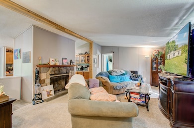 12650 State Rd, Leslie, MI 49251 - photo 3