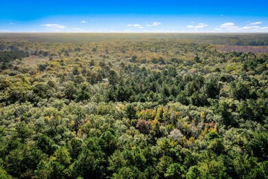 HFL_OSBORNE TRACT-34-2